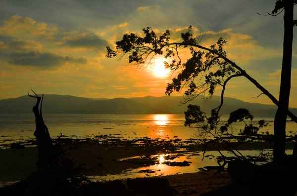 Neil Island