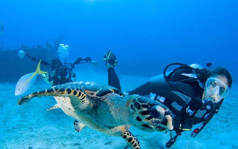 Scuba dive