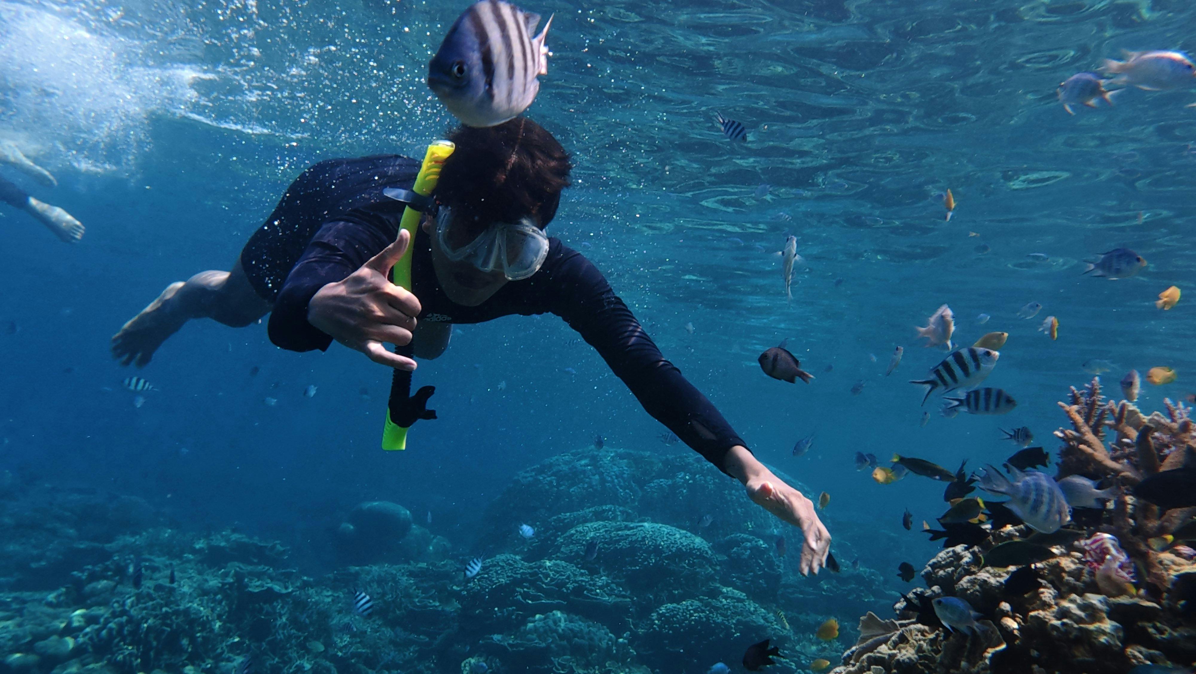 Snorkeling